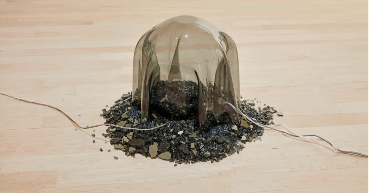 Artist Charisse Pearlina Weston: ‘This is a kind of violence that’s been naturalised, but it’s not natural’