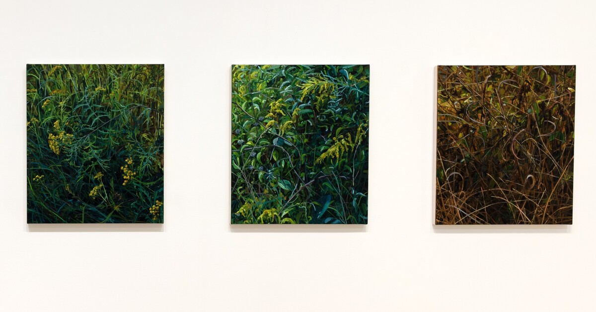 Claire Sherman: Petrichor