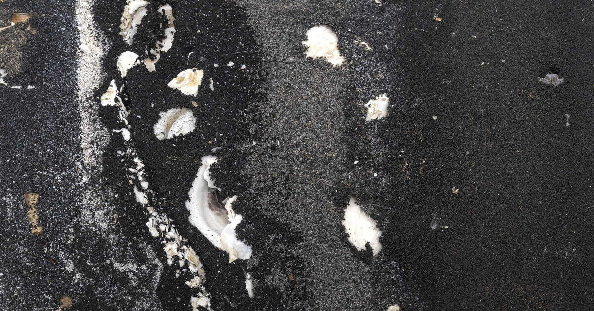 The Armory Show 2025