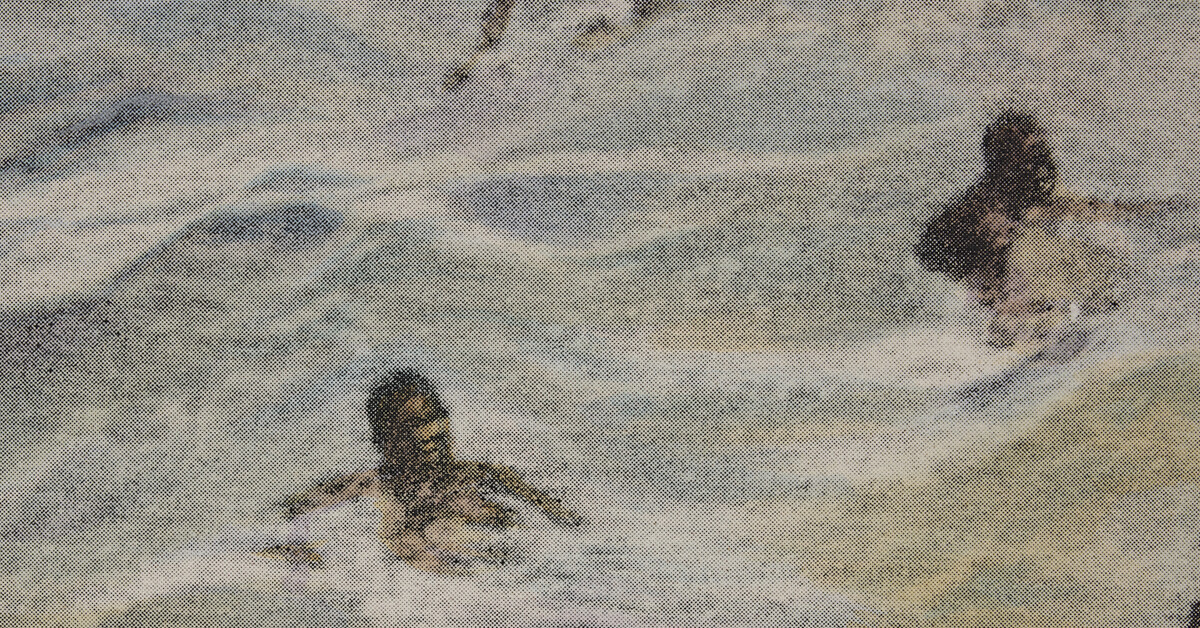 Long, Shore, Drift