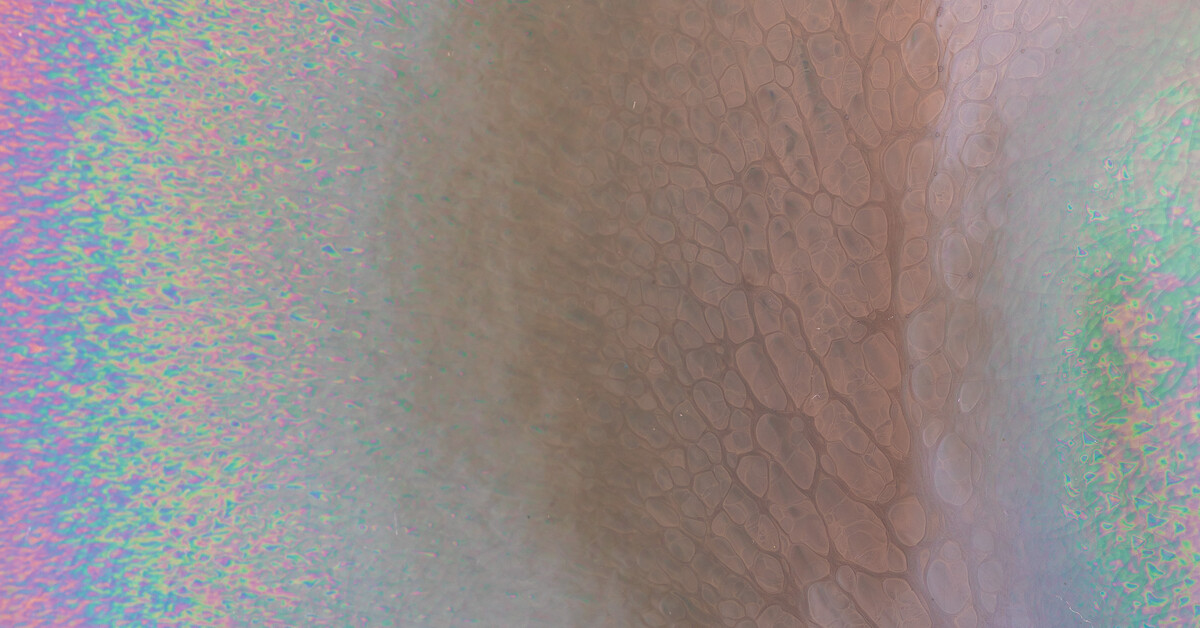 Editorsʼ picks: 6 projects not to miss at Art Basel Miami Beach 2025